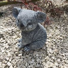 Koala klein