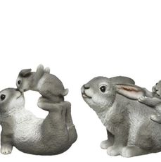 set konijnen